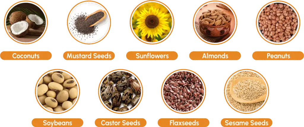 Various Kind of Oil Extraction